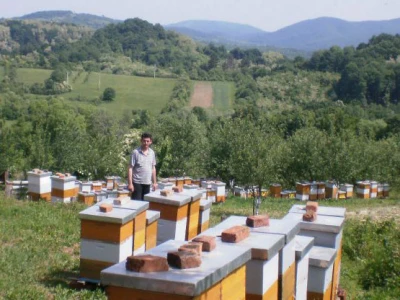 Pčelinjak u Bijeloj Stijeni
