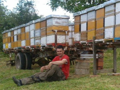 Predah u pčelinjaku uz zujanje pčela