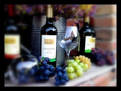 Podrum i vinograd Pere Kusića
