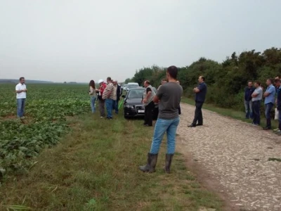 Dok su oblaci zadržavali kišu, proizvođači su se uvjerili u kvalitetu sjemena