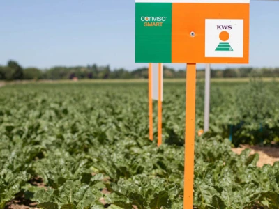 KWS i Bayer CONVISO® SMART radionica