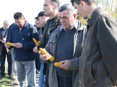 KWS Dani polja kukuruza - Suhopolje