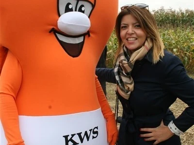 KWS premijera novih hibrida kukuruza!