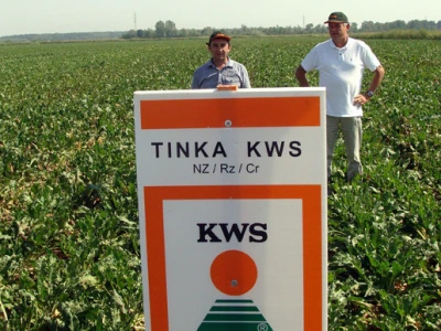 Dan polja KWS šećerne repe