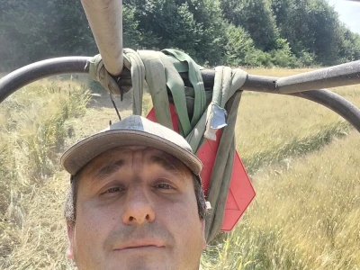 Labirint u žitu kod Ivanić-Grada