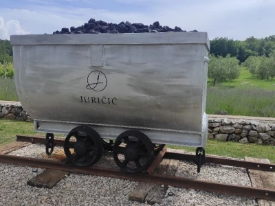 Lari Juričić, najmlađi je vinar Labinštine, ali prestižne nagrade ga ne mimoilaze