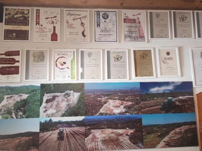 Lari Juričić, najmlađi je vinar Labinštine, ali prestižne nagrade ga ne mimoilaze