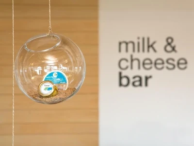 Milk &amp; Cheese Bar