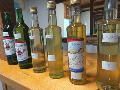 Lavander Hills kuća za odmor u Podravini