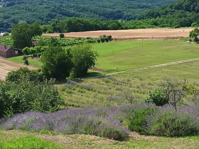 Lavander Hills kuća za odmor u Podravini