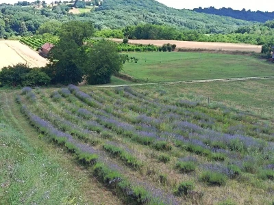 Lavander Hills kuća za odmor u Podravini