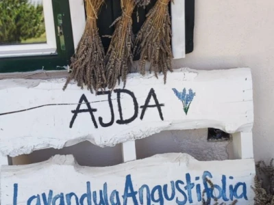 Lavandina polja u Udbini