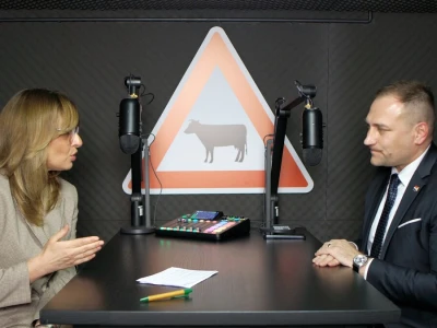 David Vlajčić u podcastu