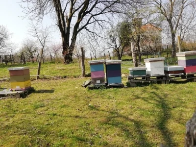 Lijepo je biti sam svoj gazda