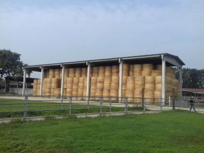 Limousin Italija