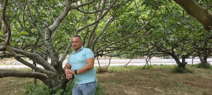 Smokva lokacija