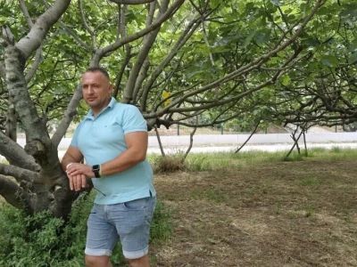 Liofilizirano voće