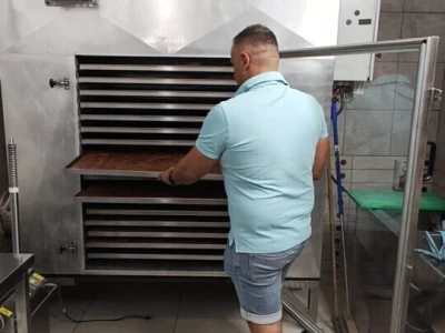 Liofilizirano voće