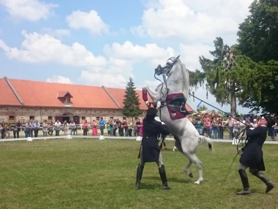 Ergela Lipica