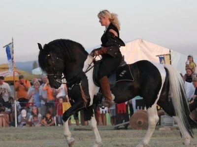 Lipicanska barokna raskoš