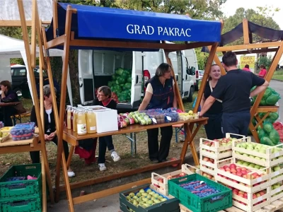 Grad Pakrac