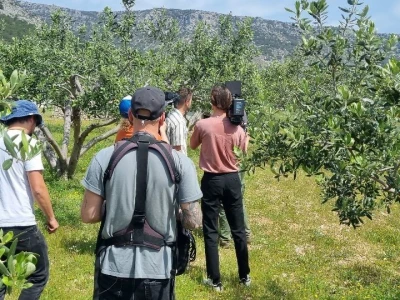 LJUBAV ŽIVI VJEČNO: Potraga za nagrađenim uljem koje je Slavonac u Bolu posvetio pokojnoj ženi