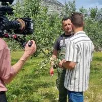 LJUBAV ŽIVI VJEČNO: Potraga za nagrađenim uljem koje je Slavonac u Bolu posvetio pokojnoj ženi