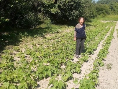 Ljubica Baborac