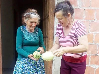 Ljubica Baborac