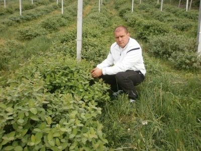 Vjeran Lež na svojoj plantaži