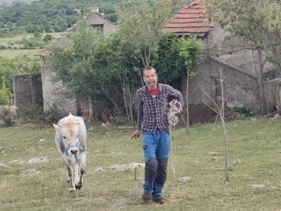 "Mala škola čuvanja ovaca"