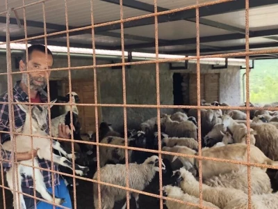 "Mala škola čuvanja ovaca"