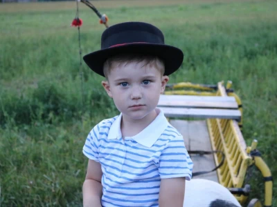 Mali Luka (3) priprema svatovsku zapregu za festivalsku povorku u Požegi