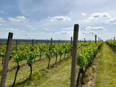 Mandićevac