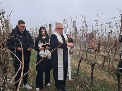 Mandićevac Vincekovo 2026