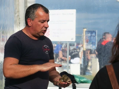 Manifestacija - Dani orade i kalamara u Ližnjanu