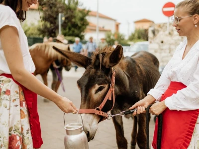Manifestacija "U bojama tradicije - žetvene svečanosti“ u Brtonigli