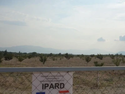 Podizanje nasada uz pomoć IPARD-a