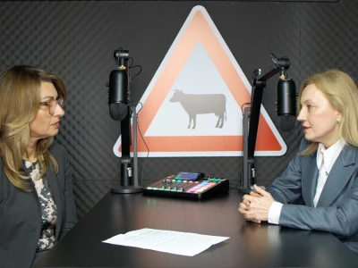 Marijana Petir u podcastu