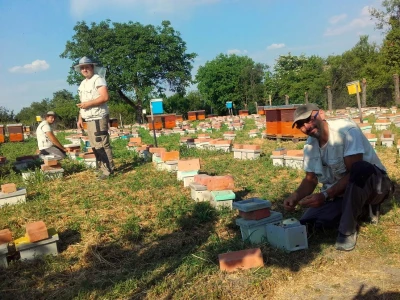 Marin je treća generacija pčelara u obitelji Kovačić