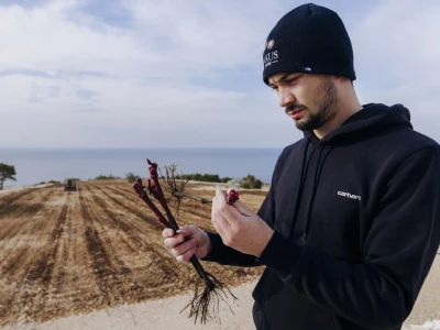 Markus wines