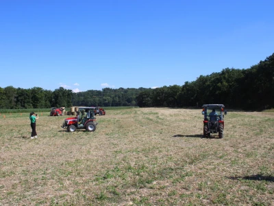 Massey Ferguson serija MF 1M