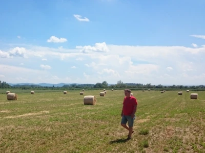 OPG Matešić