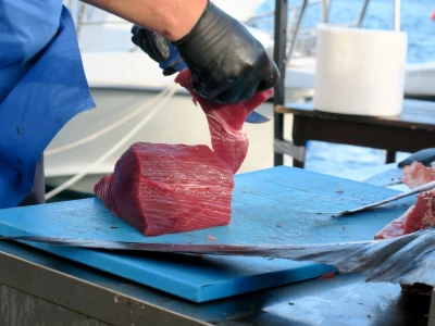 Medulin FotTuna - podjeljeno više od 800 tuna burgera