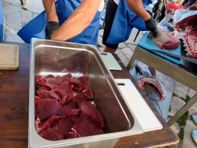 Medulin FotTuna - podjeljeno više od 800 tuna burgera