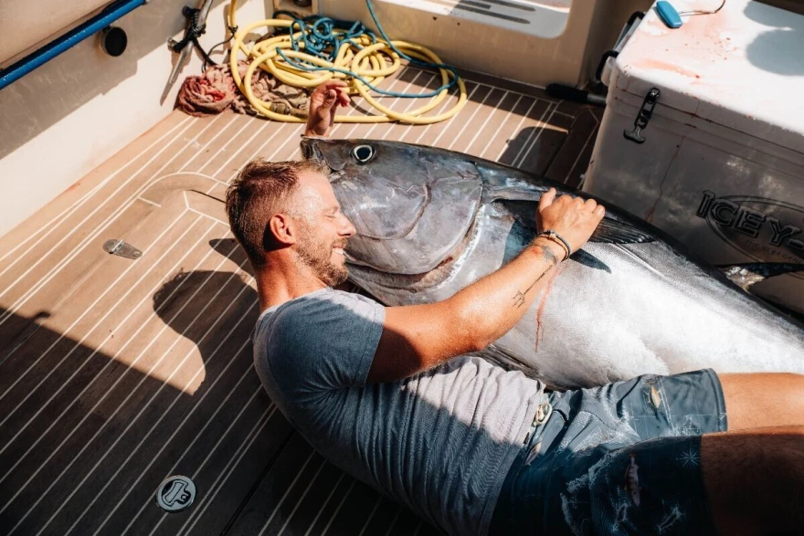 tuna 