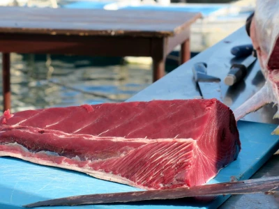 Medulin FotTuna - podjeljeno više od 800 tuna burgera