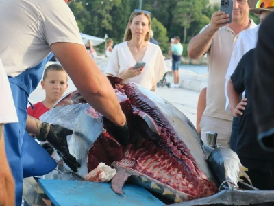 Medulin FotTuna - podjeljeno više od 800 tuna burgera