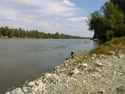 Međunarodni dan zaštite životinja