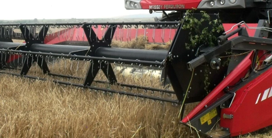 grf